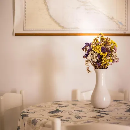 Ante Appartement